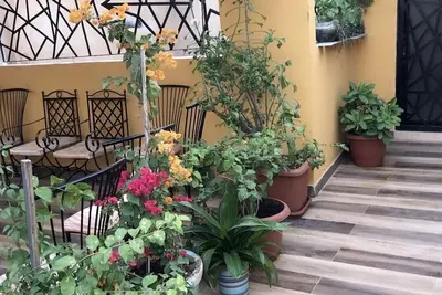 Image de La Tulipe D'été Appartement Chaleureux, Avec sa Belle Terrasse Fleurie