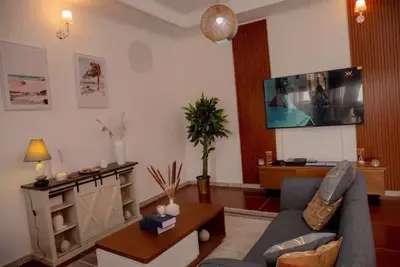 Image de Free Netflix-Wifi-PLaystation4-Washing machine\n