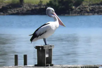 Image de South Ballina Riverside Retreat