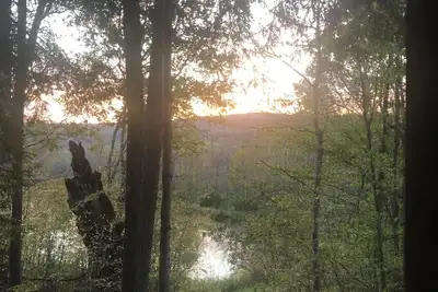 Image de Secluded Cabin Nestled In The Trees Overlooking Fishing & Canoe Pond