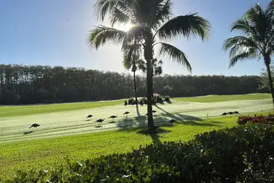 Image de 7th Heaven on the 7th hole! ! This is a golfers paradise in beautiful Sw Florida!